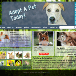 animals-&-pets
