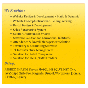 Custom web development, custom software development