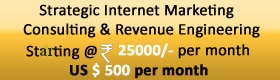Strategic Internet Marketing Consulting