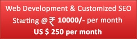 Web development & customized SEO