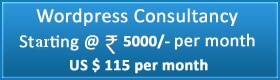 Wordpress consultancy & SEO