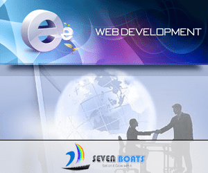 web development, custom software development