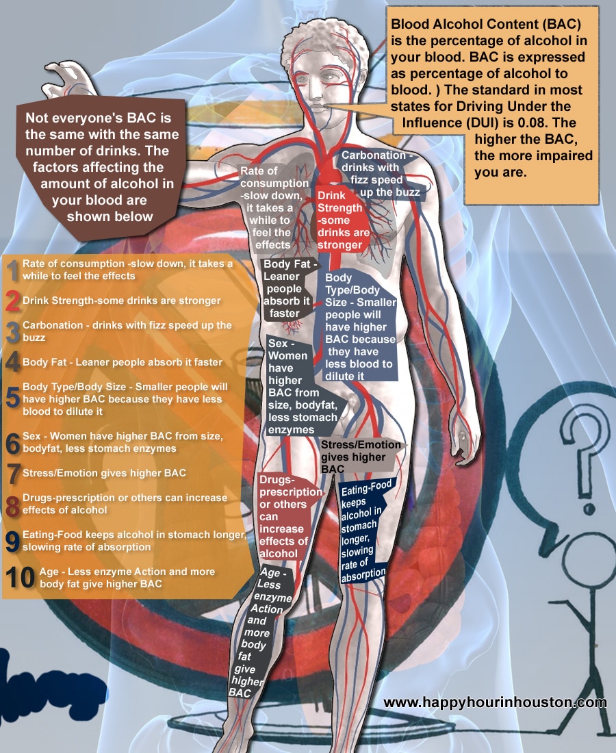 Infographics Designed by 7boats 25 - infographic blood alcohol