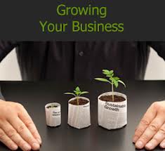 growing your business